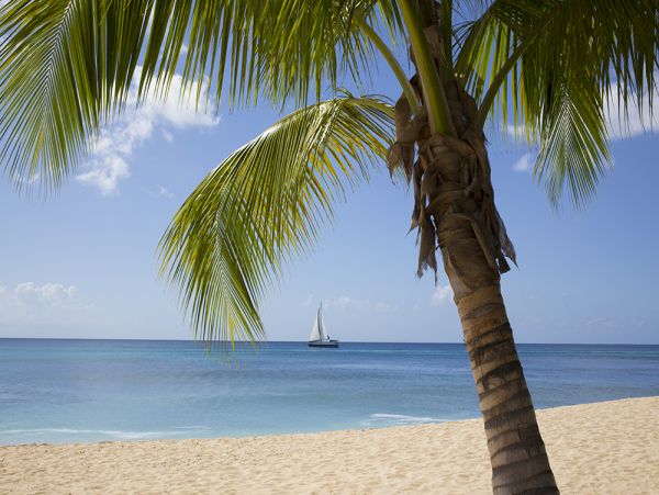 Barbados Home 1004127