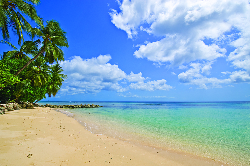 Barbados Home 1004127