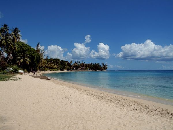 Barbados Home 1004235