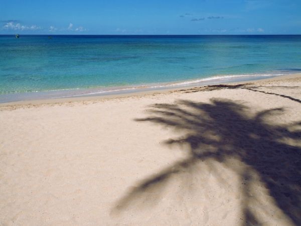 Barbados Home 1004235