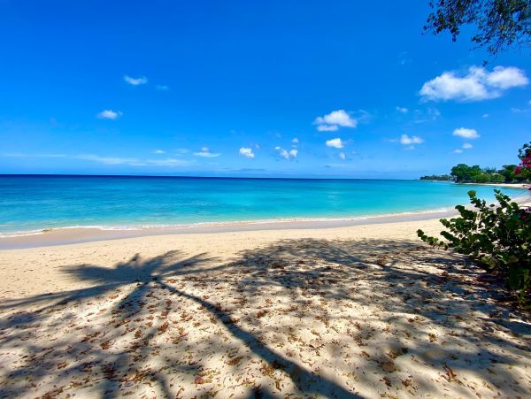 Barbados Home 1004240