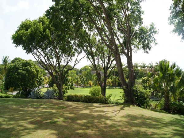 Barbados Home 1004243