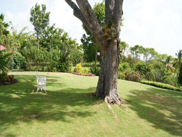 Barbados Home 1004243