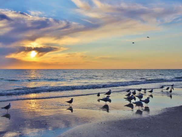Indian Shores Two Bedroom Beachfront Vacation Condo