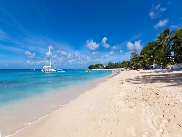 Barbados Home 1004249