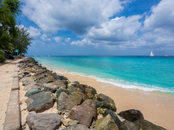 Barbados Home 1004266