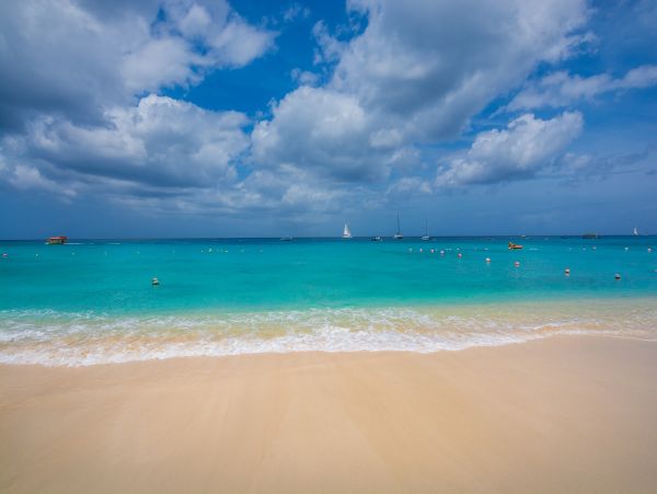 Barbados Home 1004266