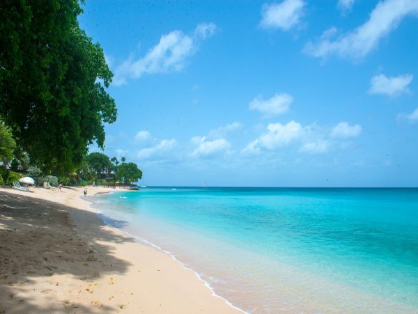 Barbados Home 1004270