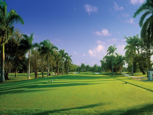 Jamaica Home 1004279