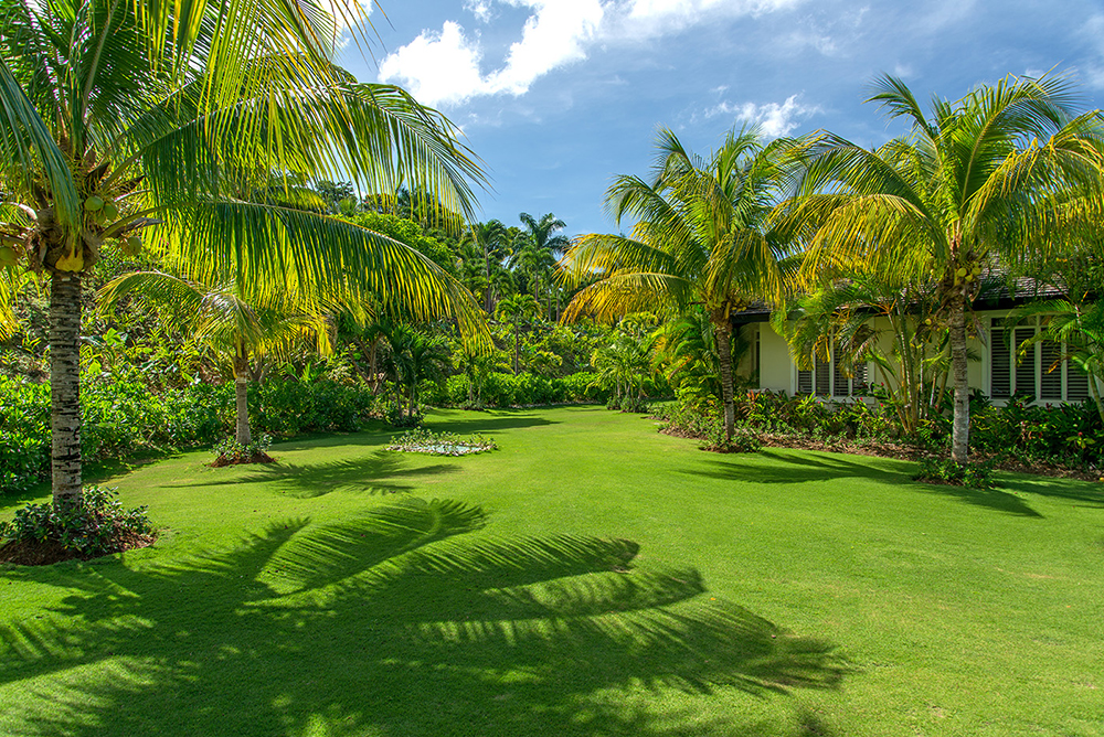 Jamaica Home 1004283