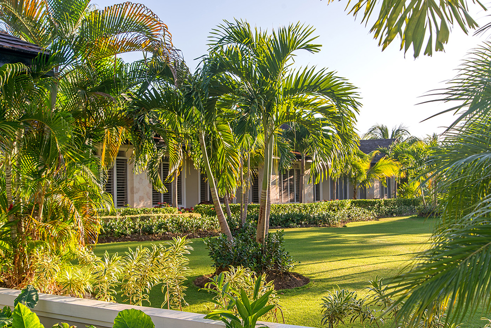 Jamaica Home 1004283