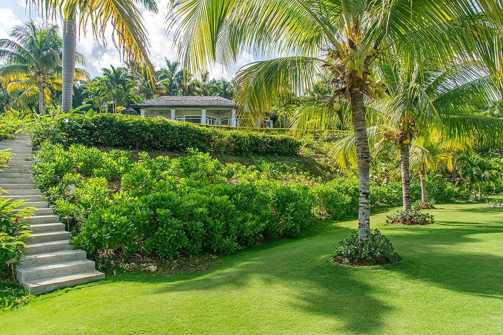 Jamaica Home 1004283