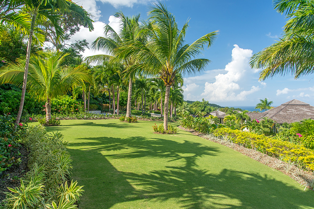 Jamaica Home 1004283