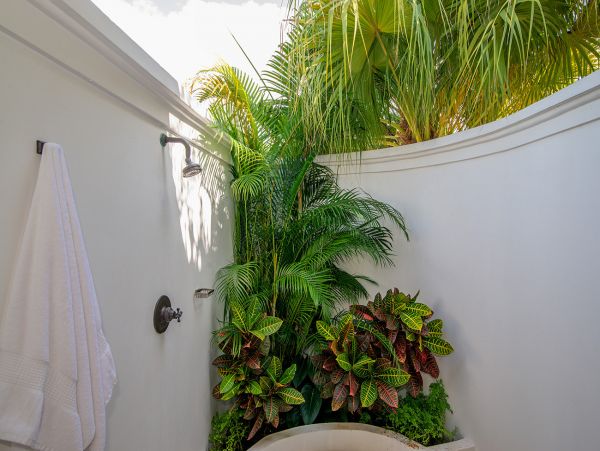 Jamaica Home 1004286