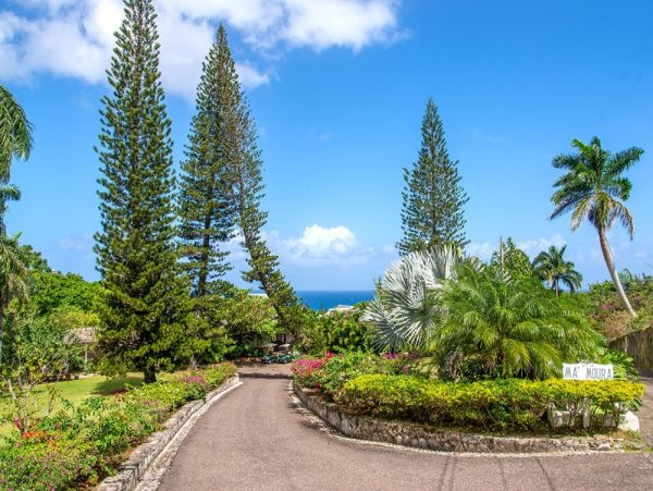 Jamaica Home 1004294