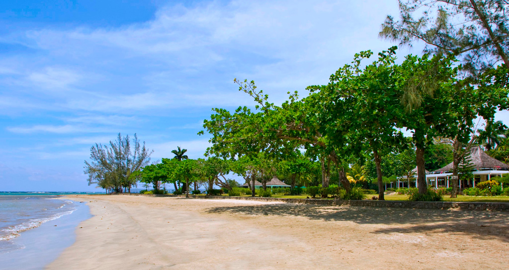 Jamaica Home 1004301