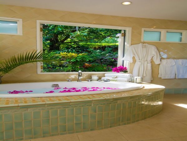 Jamaica Home 1004305