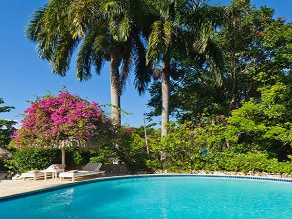 Jamaica Home 1004317