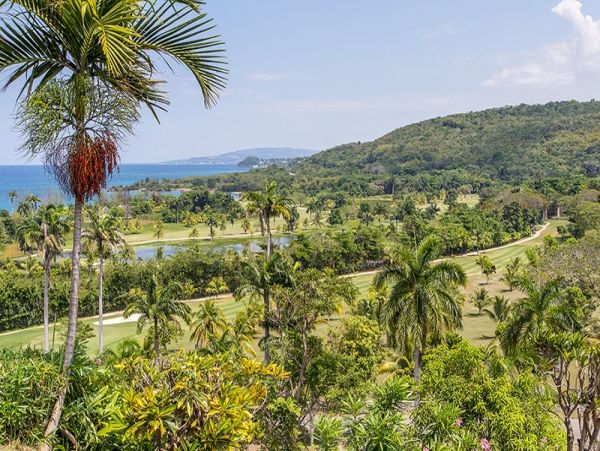 Jamaica Home 1004331