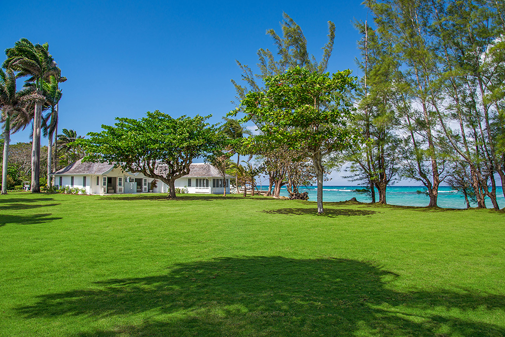 Jamaica Home 1004333