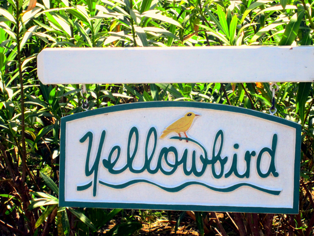 Jamaica Home 1004343
