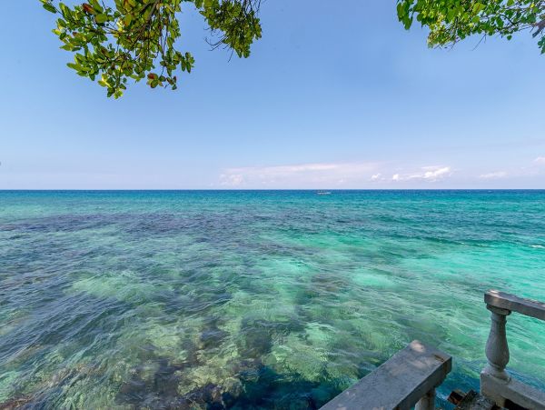 Jamaica Home 1004347