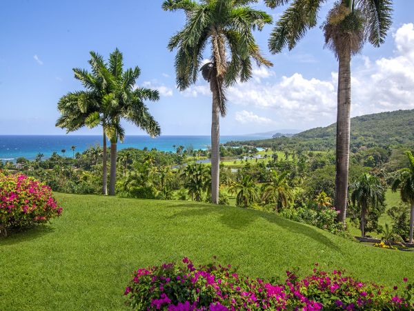 Jamaica Home 1004359