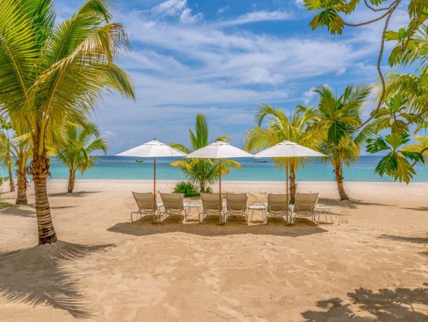 Jamaica Home 1004371