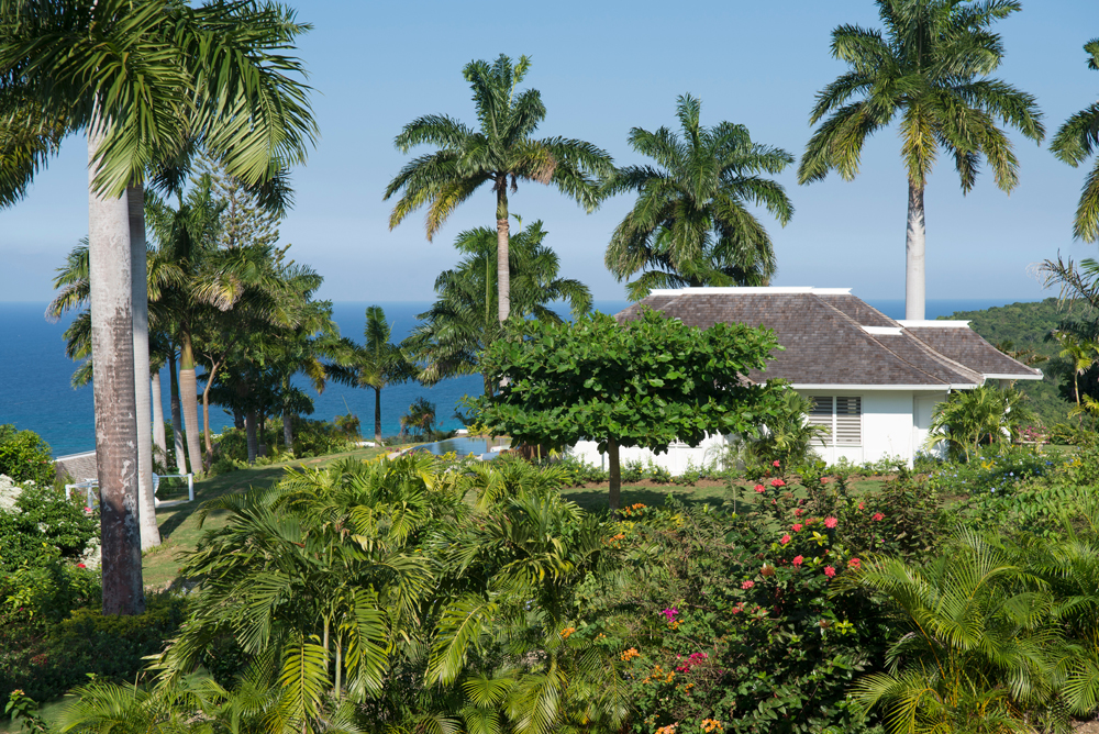 Jamaica Home 1004379