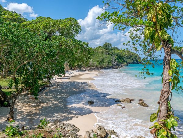 Jamaica Home 1004382