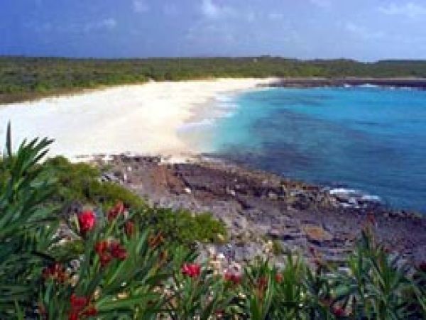 Anguilla Home 1004400