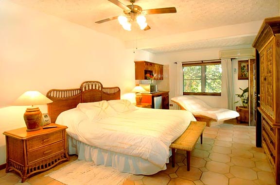 Anguilla Home 1004404