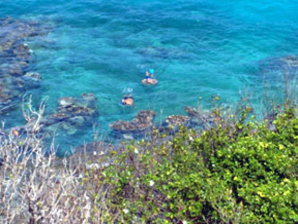 Anguilla Home 1004421