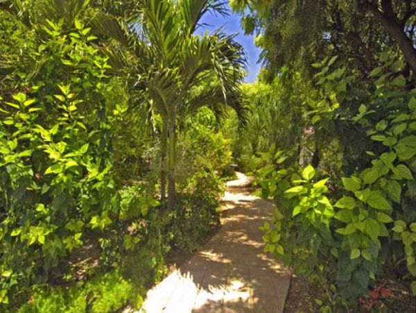 Anguilla Home 1004424