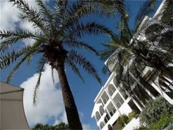 Anguilla Home 1004429
