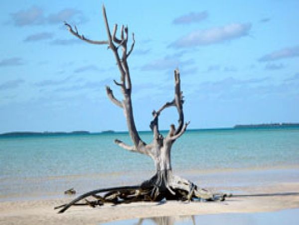 Bahamas Home 1004450