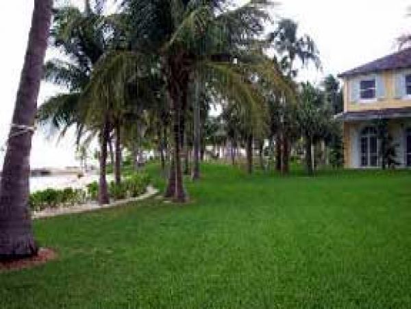 Bahamas Home 1004451