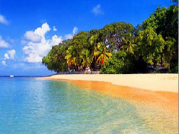 Barbados Home 1004462