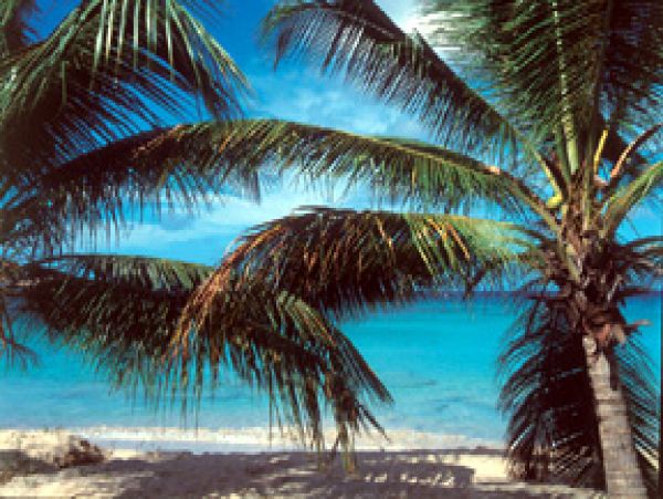 Barbados Home 1004479