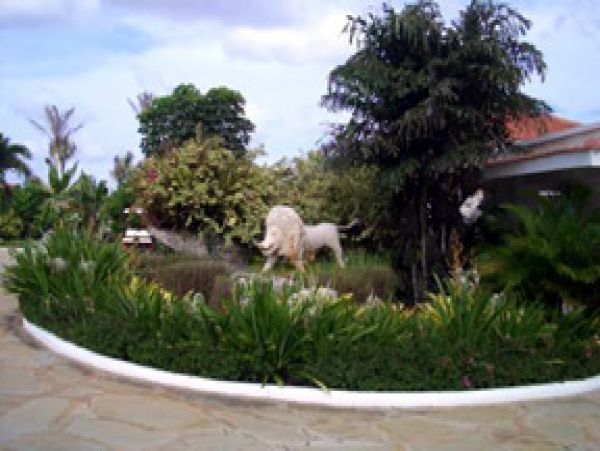 Dominican Republic Home 1004496