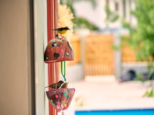 Bonaire Home 1004501