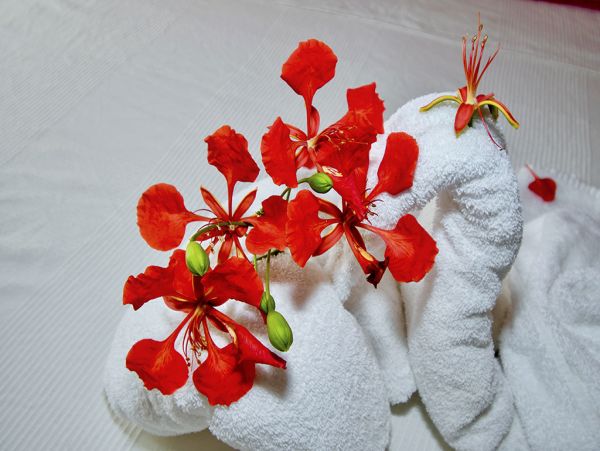 Bonaire Home 1004504