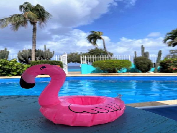 Bonaire Home 1004504