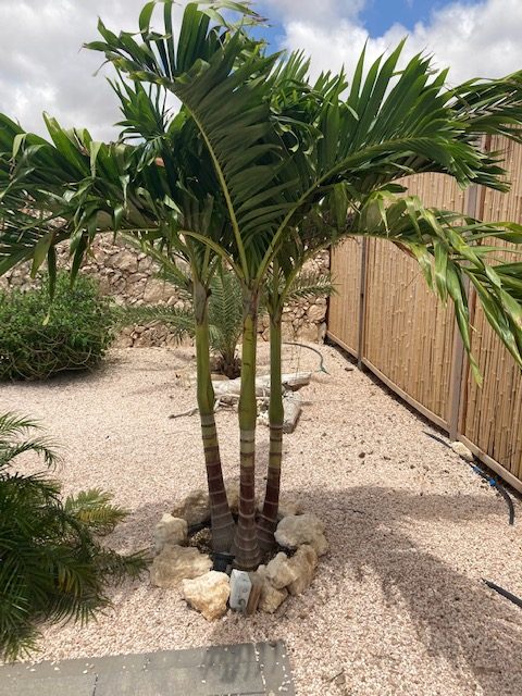 Bonaire Home 1004509