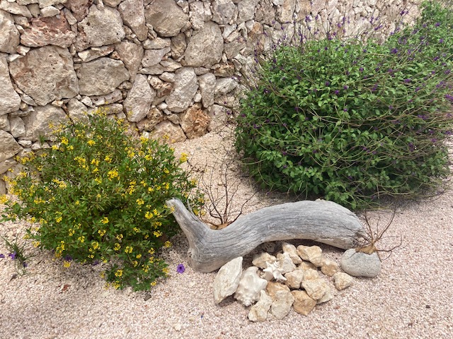 Bonaire Home 1004509