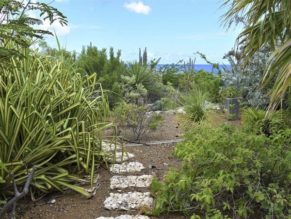 Bonaire Home 1004512