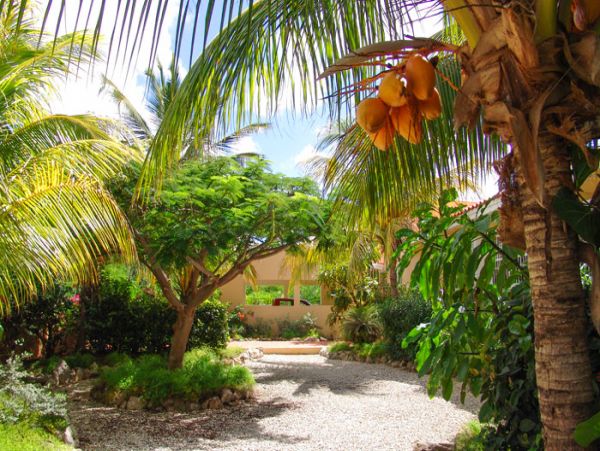 Bonaire Home 1004516