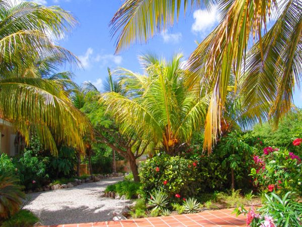 Bonaire Home 1004516