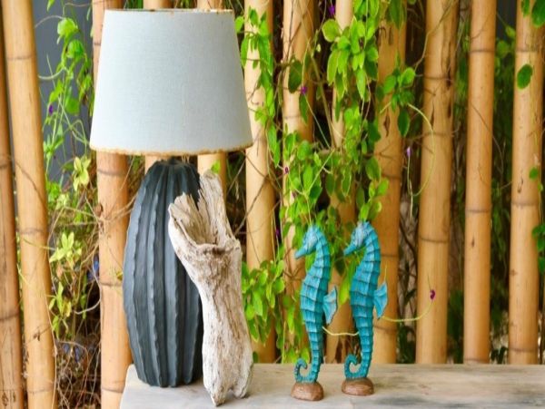 Bonaire Home 1004522