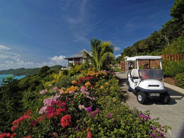 Mustique Saint Vincent And The Grenadines Home 1004596